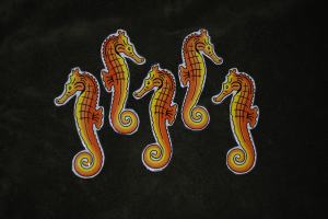 5 Little Seahorses